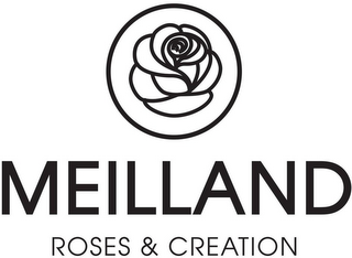 MEILLAND ROSES & CREATION