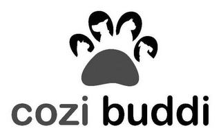 COZI BUDDI