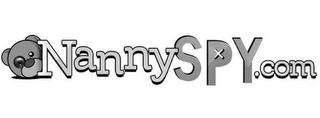 NANNYSPY.COM