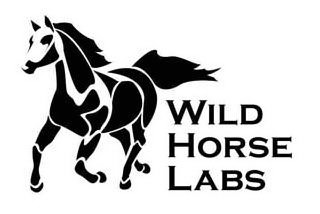 WILD HORSE LABS