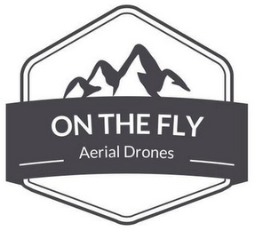 ON THE FLY AERIAL DRONES