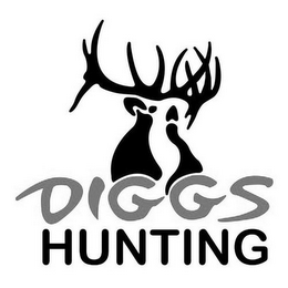 DIGGS HUNTING