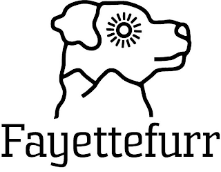 FAYETTEFURR