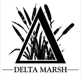 DELTA MARSH