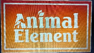 ANIMAL ELEMENT