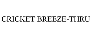 CRICKET BREEZE-THRU