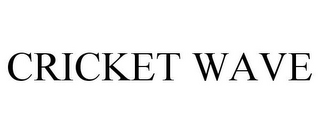 CRICKET WAVE