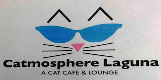 CATMOSPHERE LAGUNA A CAT CAFE & LOUNGE