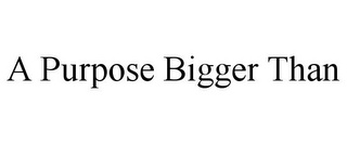 A PURPOSE BIGGER THAN