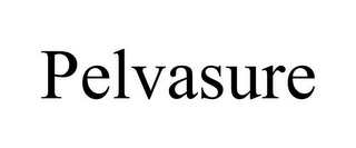 PELVASURE