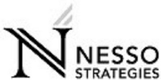 N NESSO STRATEGIES