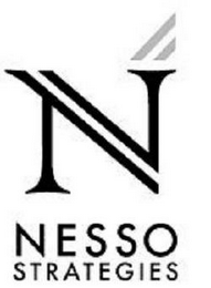 N NESSO STRATEGIES