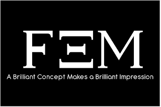 FEM A BRILLIANT CONCEPT MAKES A BRILLIANT IMPRESSION