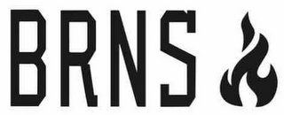 BRNS