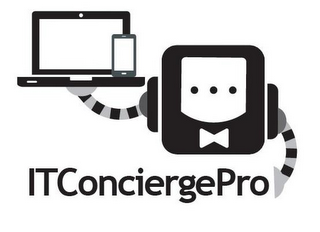 ITCONCIERGEPRO