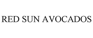 RED SUN AVOCADOS