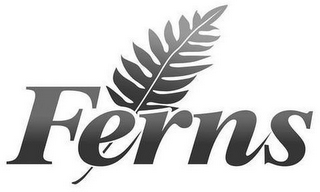 FERNS