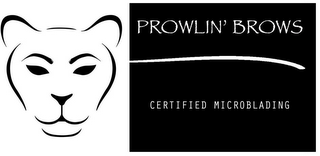 PROWLIN' BROWS CERTIFIED MICROBLADING