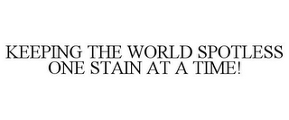 KEEPING THE WORLD SPOTLESS ONE STAIN ATA TIME!