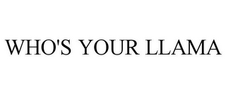 WHO'S YOUR LLAMA