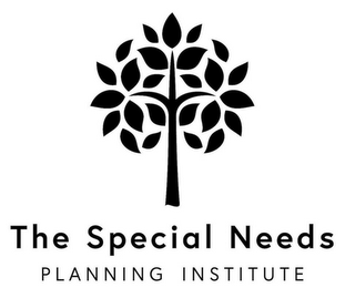 THE SPECIAL NEEDS PLANNING INSTITUTE