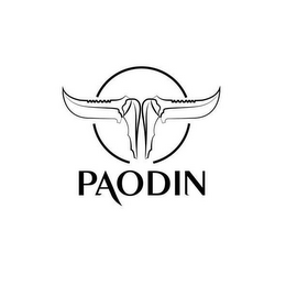 PAODIN