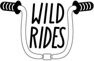 WILD RIDES