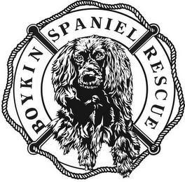 BOYKIN SPANIEL RESCUE