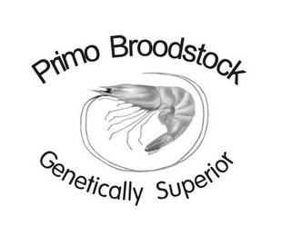 PRIMO BROODSTOCK GENETICALLY SUPERIOR