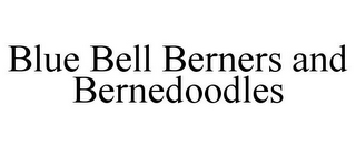 BLUE BELL BERNERS AND BERNEDOODLES