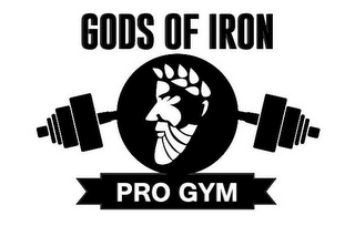 GODS OF IRON PRO GYM