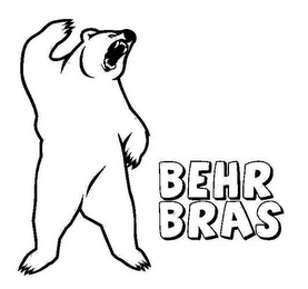 BEHR BRAS