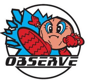 OBSERVE