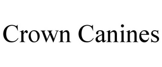 CROWN CANINES