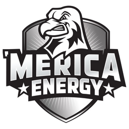 'MERICA ENERGY