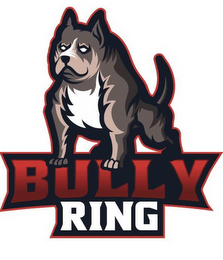 BULLY RING