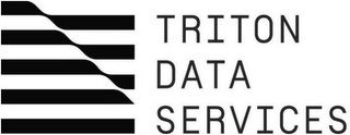 TRITON DATA SERVICES