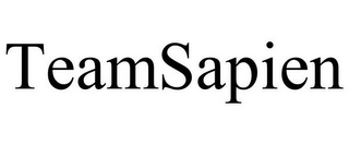 TEAMSAPIEN