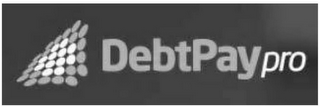 DEBTPAYPRO