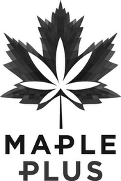 MAPLE PLUS