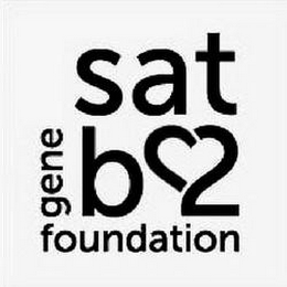 SATB2 GENE FOUNDATION