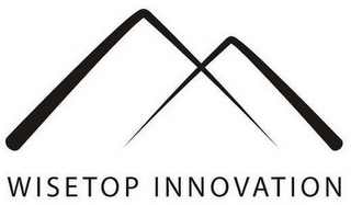 WISETOP INNOVATION