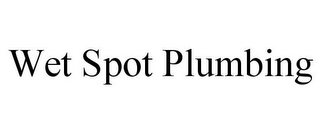 WET SPOT PLUMBING