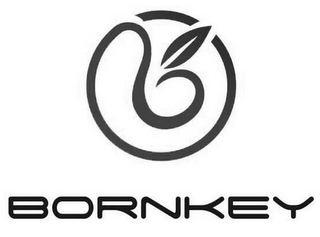 BORNKEY