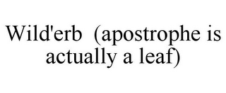 WILD'ERB (APOSTROPHE IS ACTUALLY A LEAF)