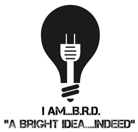 I AM...B.R.D. "A BRIGHT IDEA....INDEED"