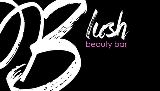 BLUSH BEAUTY BAR