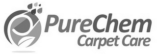 P PURECHEM CARPET CARE