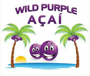 WILD PURPLE AÇAÍ