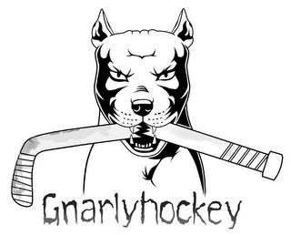 GNARLYHOCKEY